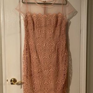 Adrianna Papell Scalloped Lace Illusion Sheath